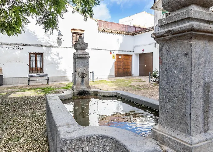 Bhost - Plaza De La Paja
